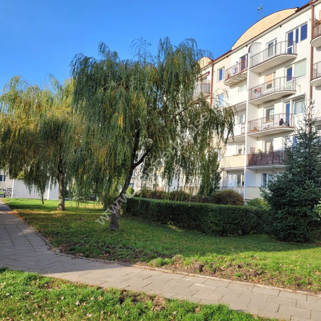 , Gdynia, Pogórze, Kontradmirała Stanisława Mieszkowskiego - listing photo no. 12