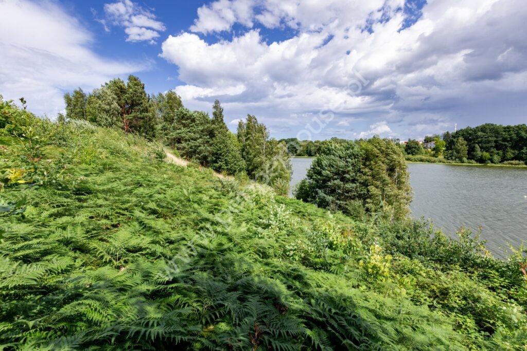 , Gdańsk, Osowa, Sambora - listing photo no. 16