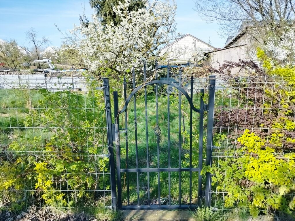 Działka na sprzedaż, pomorskie, Dębogórze, Jagodowa - zdjęcie ofertowe nr 4