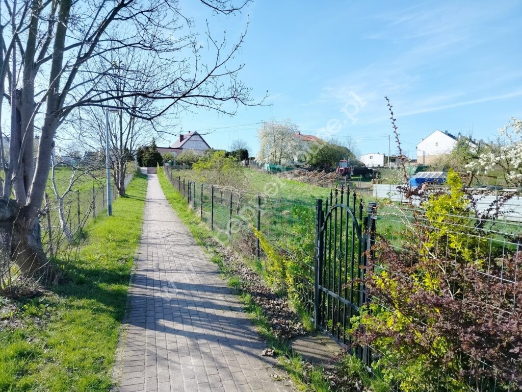 Działka na sprzedaż, pomorskie, Dębogórze, Jagodowa - zdjęcie ofertowe nr 5
