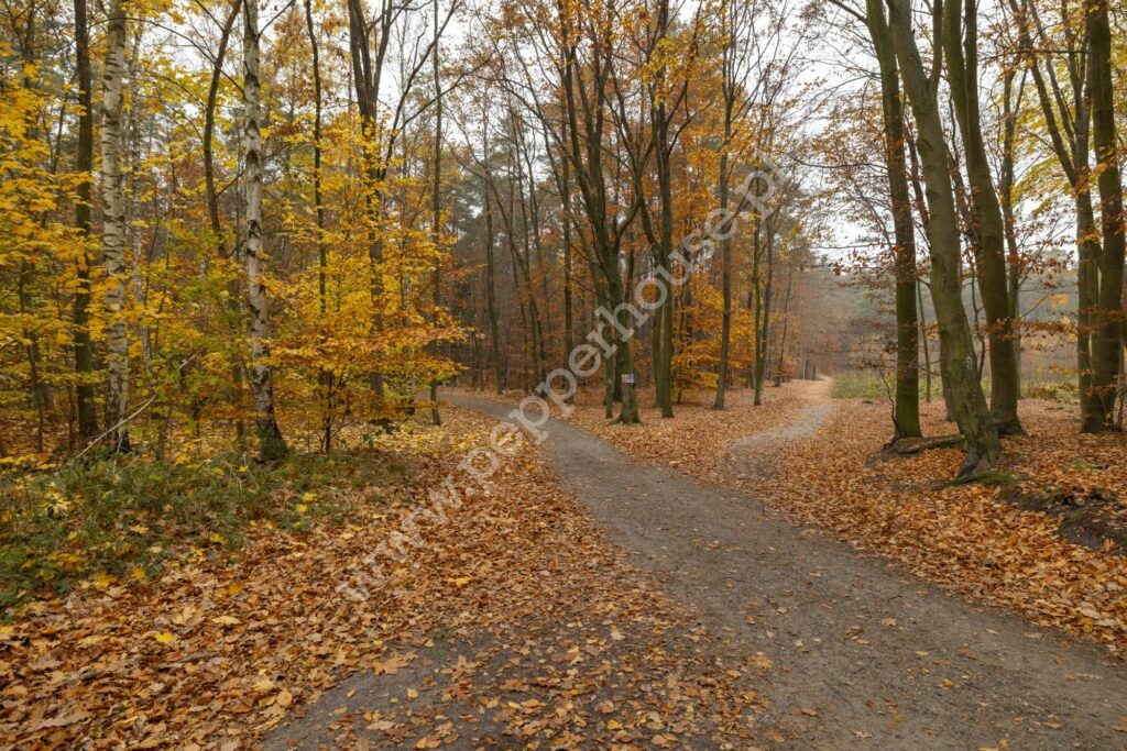 , pomorskie, Jantar, Rybacka - listing photo no. 16