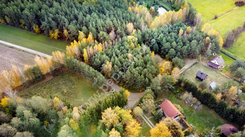 Działka na sprzedaż, pomorskie, Pałubin - zdjęcie ofertowe nr 8