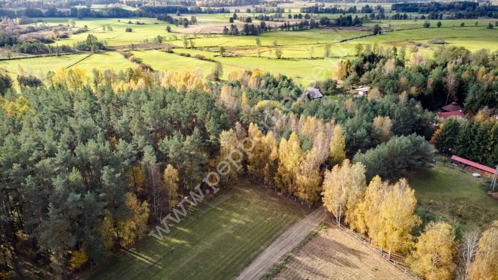 Działka na sprzedaż, pomorskie, Pałubin - zdjęcie ofertowe nr 10