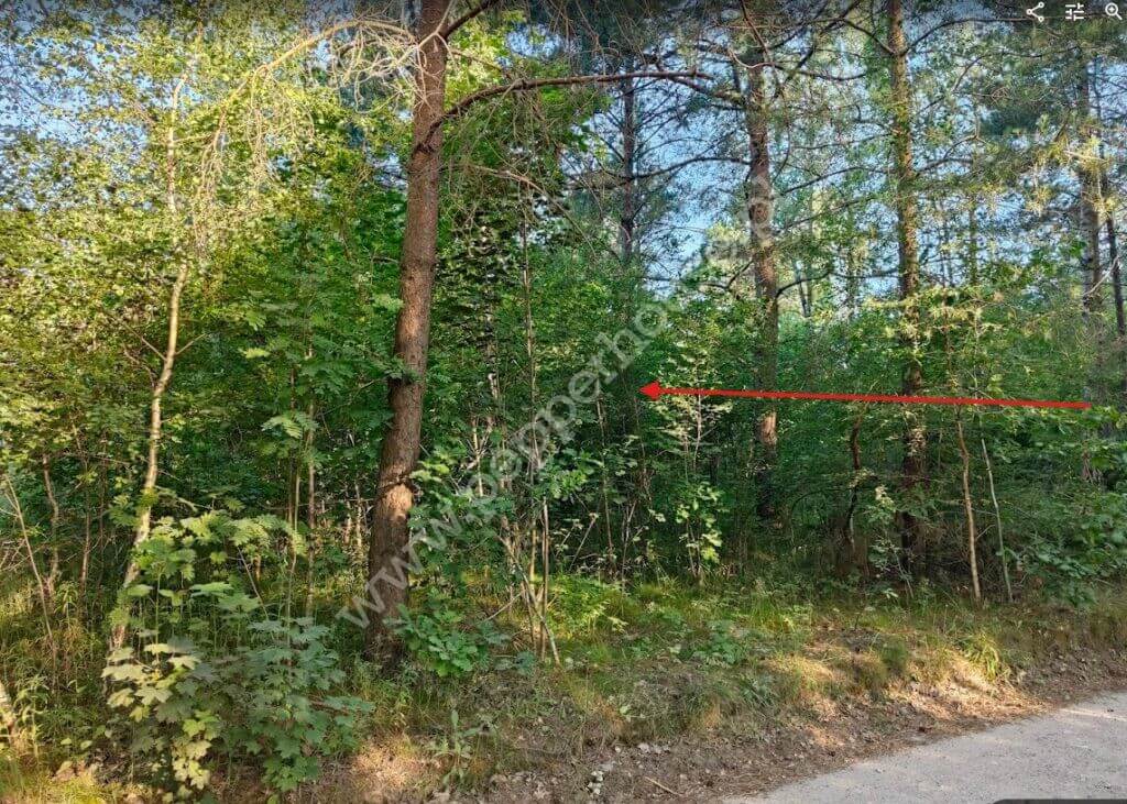 Działka na sprzedaż, pomorskie, Bąk - zdjęcie ofertowe nr 2