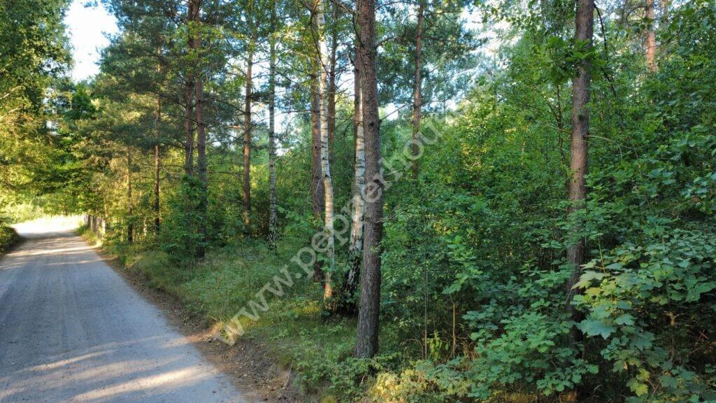 Działka na sprzedaż, pomorskie, Bąk - zdjęcie ofertowe nr 4