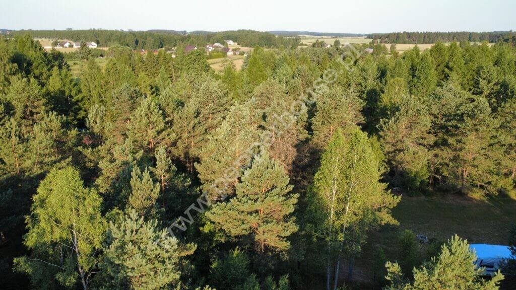 Działka na sprzedaż, pomorskie, Bąk - zdjęcie ofertowe nr 8