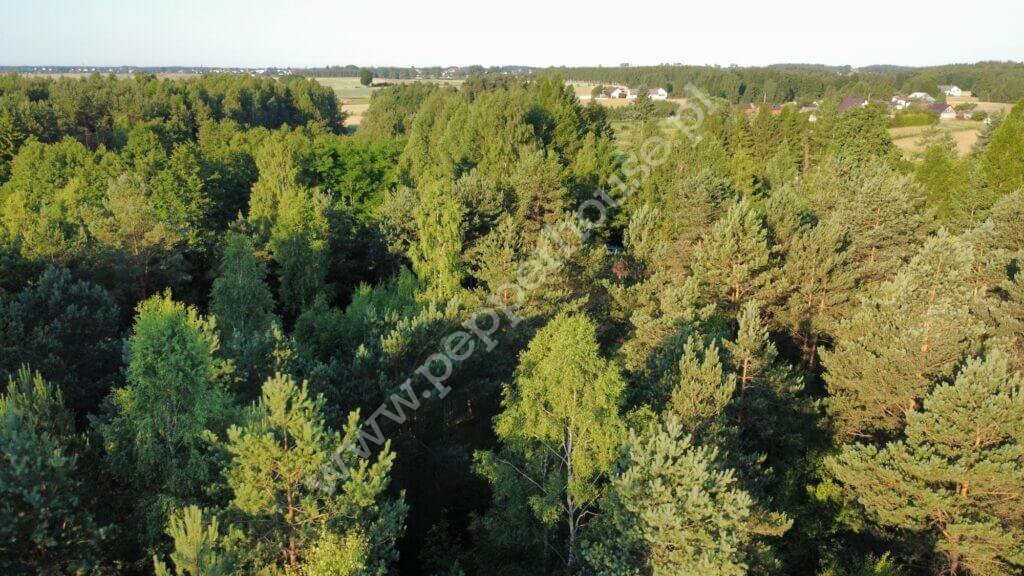 Działka na sprzedaż, pomorskie, Bąk - zdjęcie ofertowe nr 9