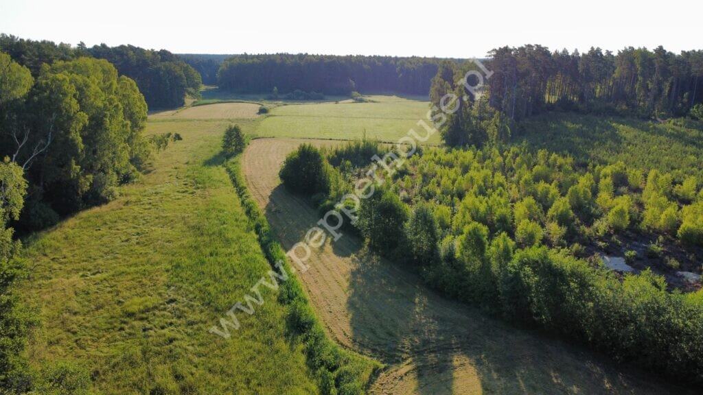 Działka na sprzedaż, pomorskie, Bąk - zdjęcie ofertowe nr 13