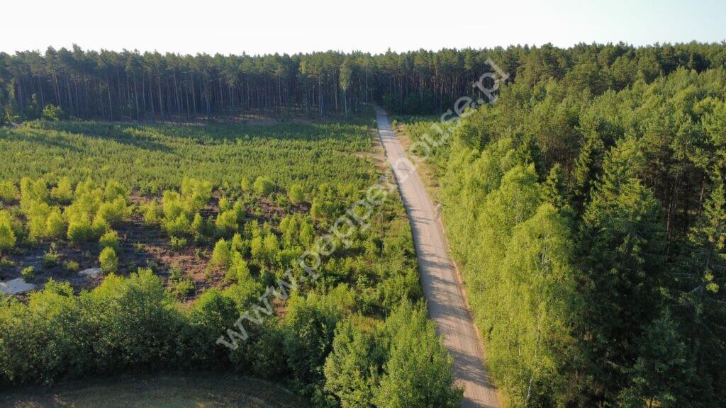 Działka na sprzedaż, pomorskie, Bąk - zdjęcie ofertowe nr 14