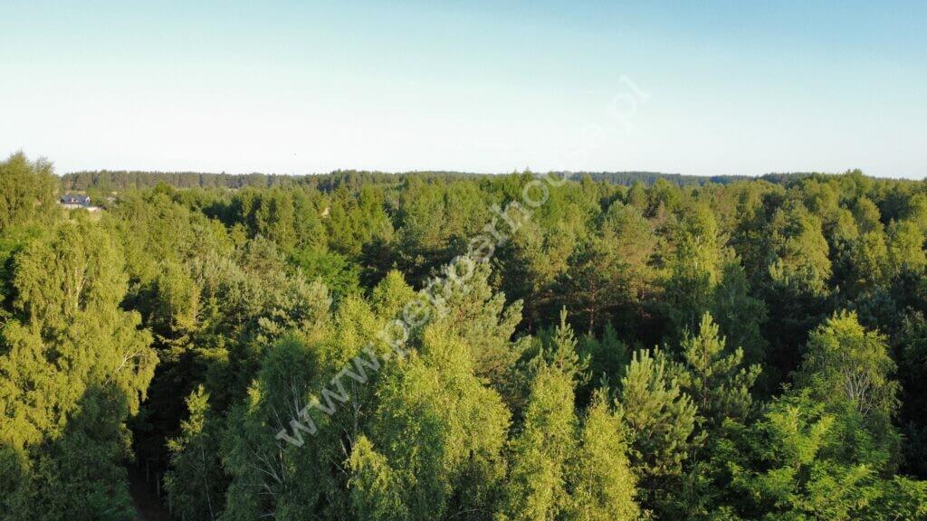 Działka na sprzedaż, pomorskie, Bąk - zdjęcie ofertowe nr 17