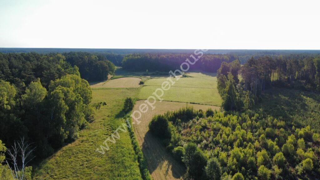 Działka na sprzedaż, pomorskie, Bąk - zdjęcie ofertowe nr 21