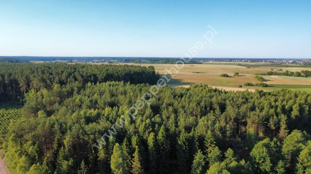 Działka na sprzedaż, pomorskie, Bąk - zdjęcie ofertowe nr 32