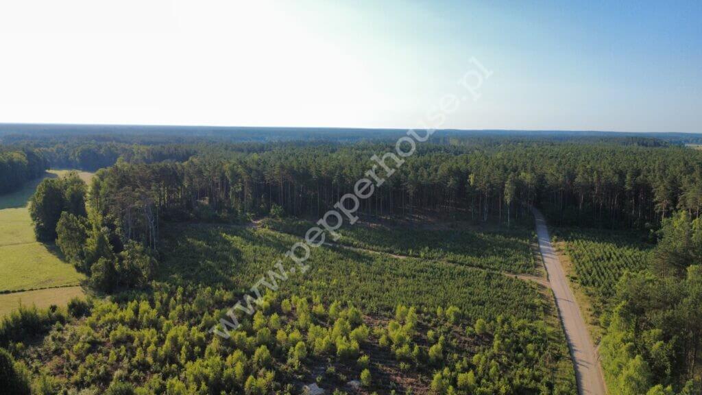 Działka na sprzedaż, pomorskie, Bąk - zdjęcie ofertowe nr 33