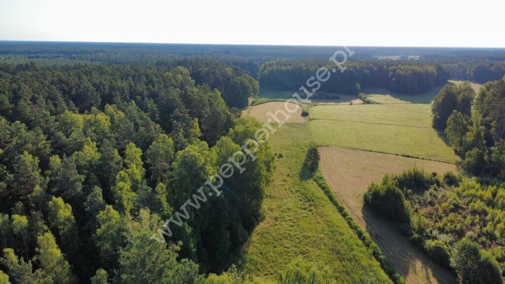Działka na sprzedaż, pomorskie, Bąk - zdjęcie ofertowe nr 34