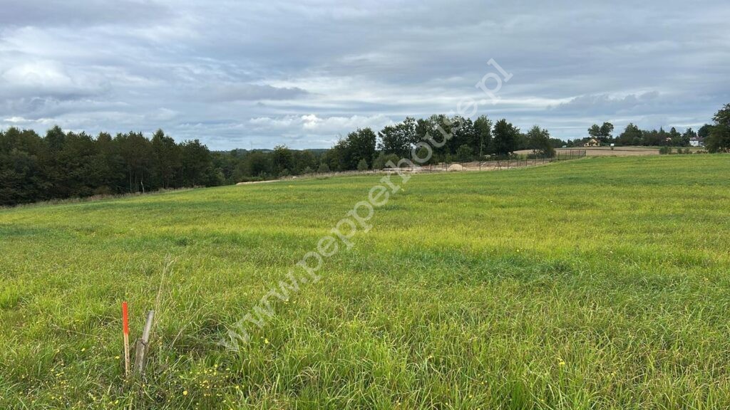 , pomorskie, Łebno - listing photo no. 6