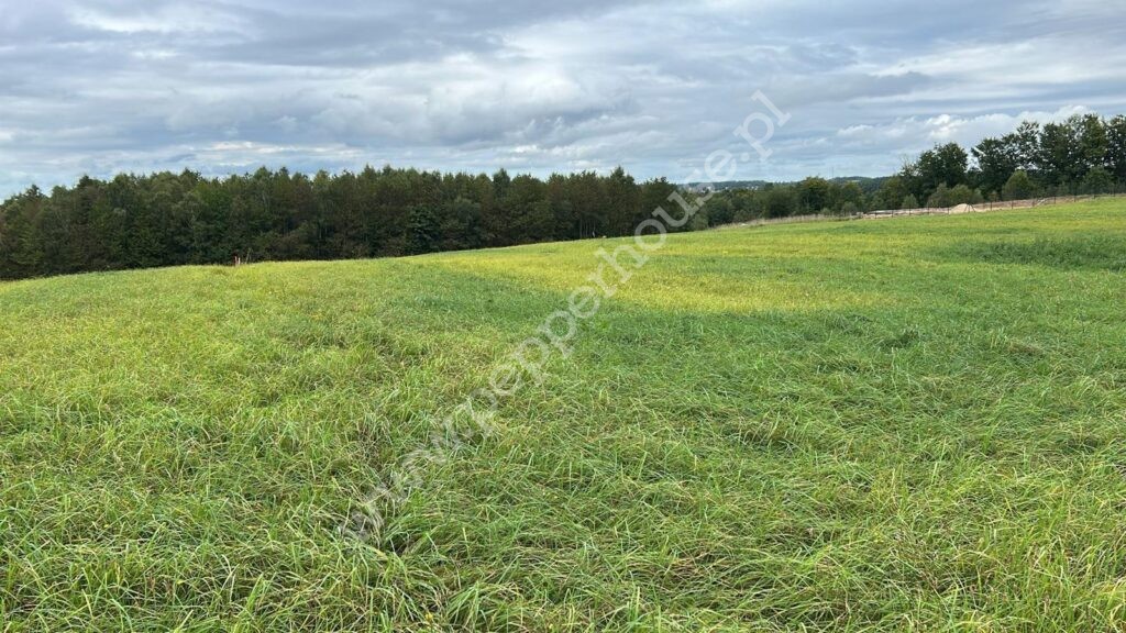 , pomorskie, Łebno - listing photo no. 3