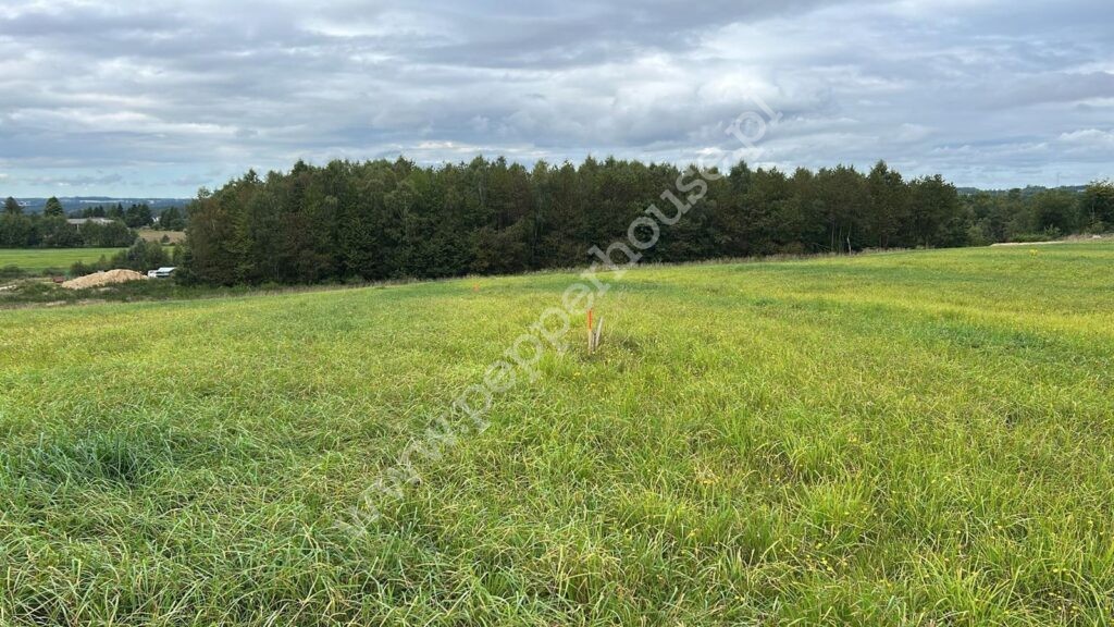 , pomorskie, Łebno - listing photo no. 5