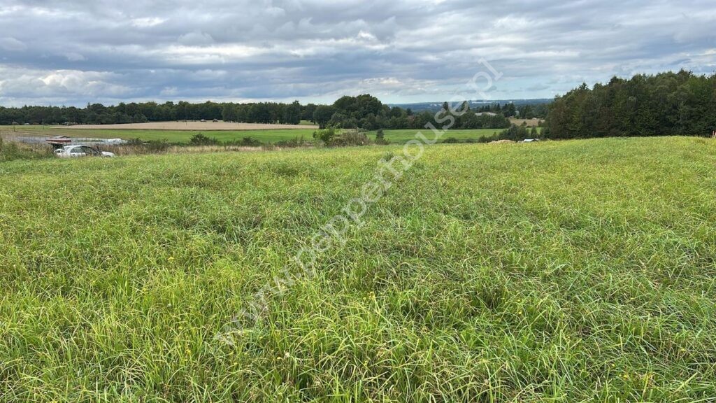 , pomorskie, Łebno - listing photo no. 4