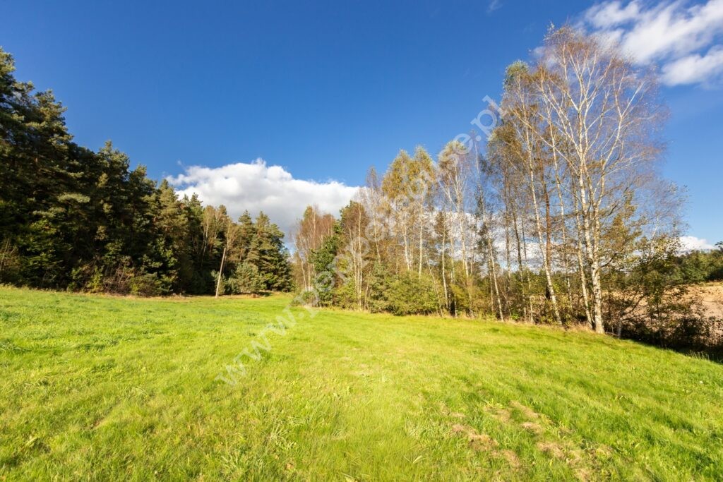 Działka na sprzedaż, Rąb, Trzy Rzeki, Górna - zdjęcie ofertowe nr 3