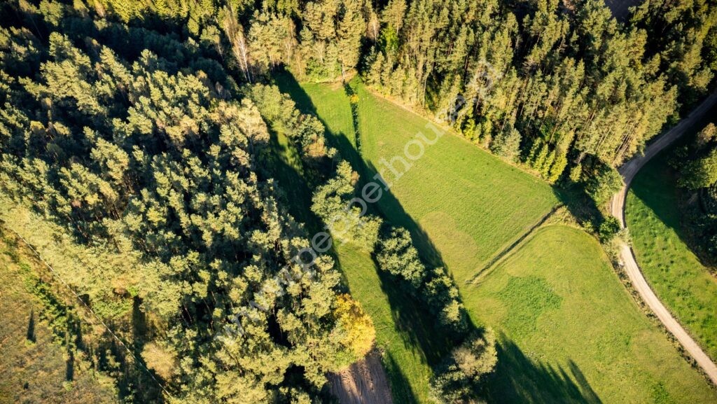, pomorskie, Rąb, Spokojna - listing photo no. 5
