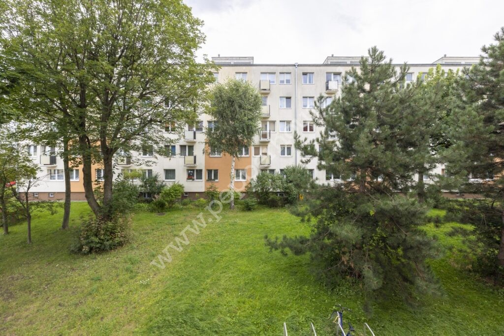 , Gdańsk, Żabianka, Orłowska - listing photo no. 9