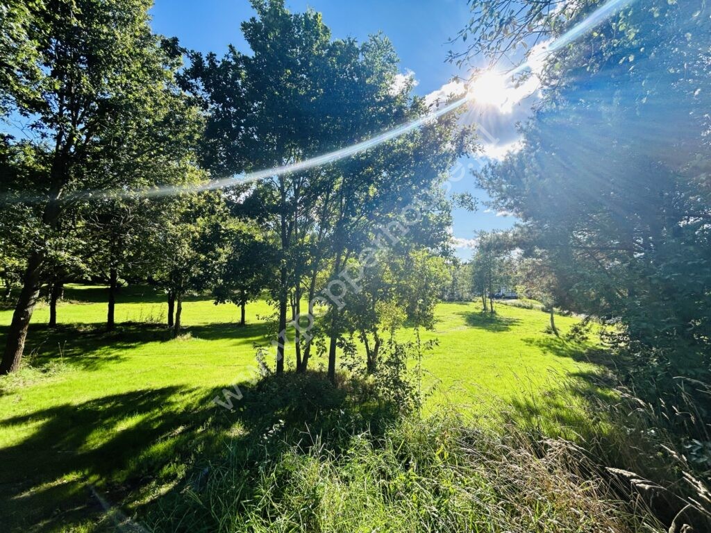 , pomorskie, Kłodawa, Słoneczna - listing photo no. 11