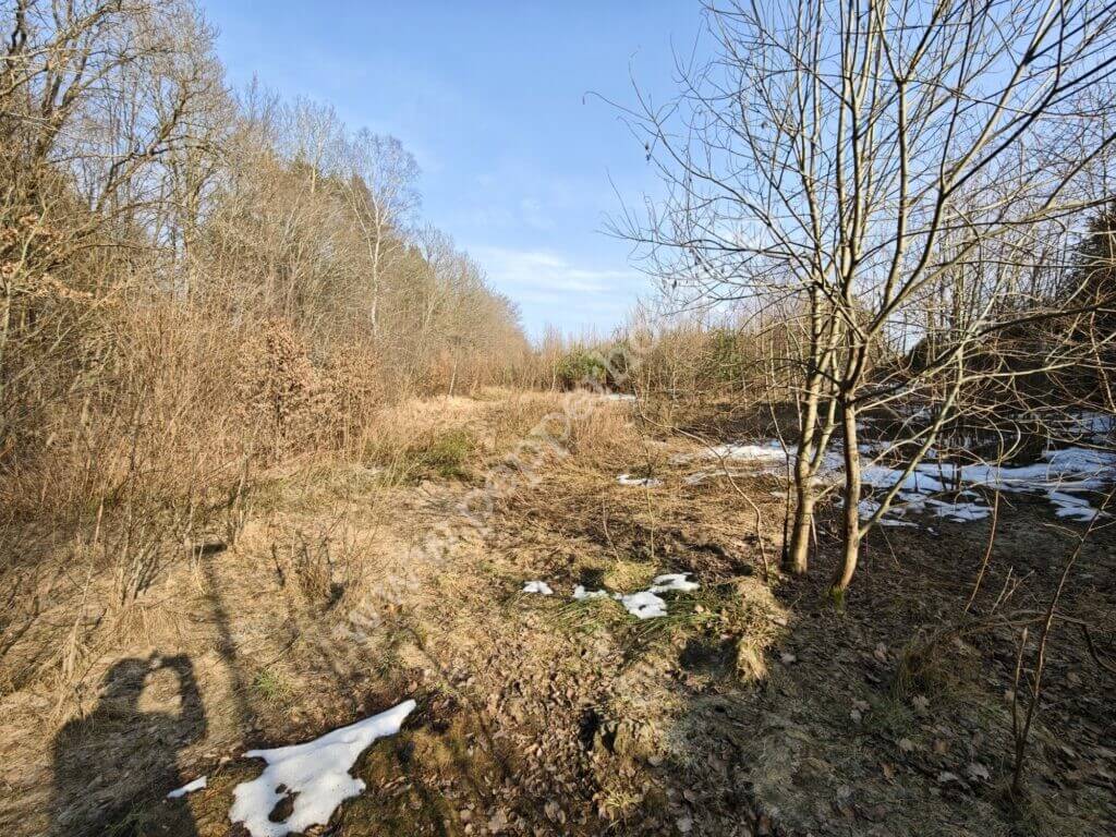 Działka na sprzedaż, Gdynia, Chwarzno-Wiczlino, Wiczlińska - zdjęcie ofertowe nr 2
