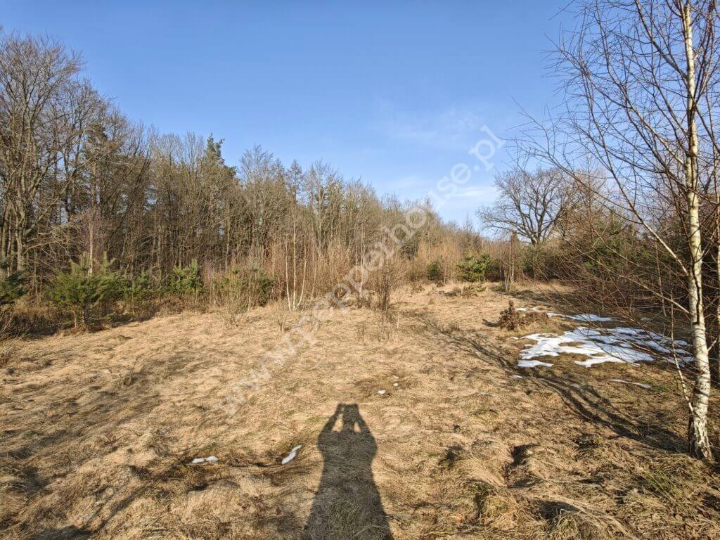 Działka na sprzedaż, Gdynia, Chwarzno-Wiczlino, Wiczlińska - zdjęcie ofertowe nr 3