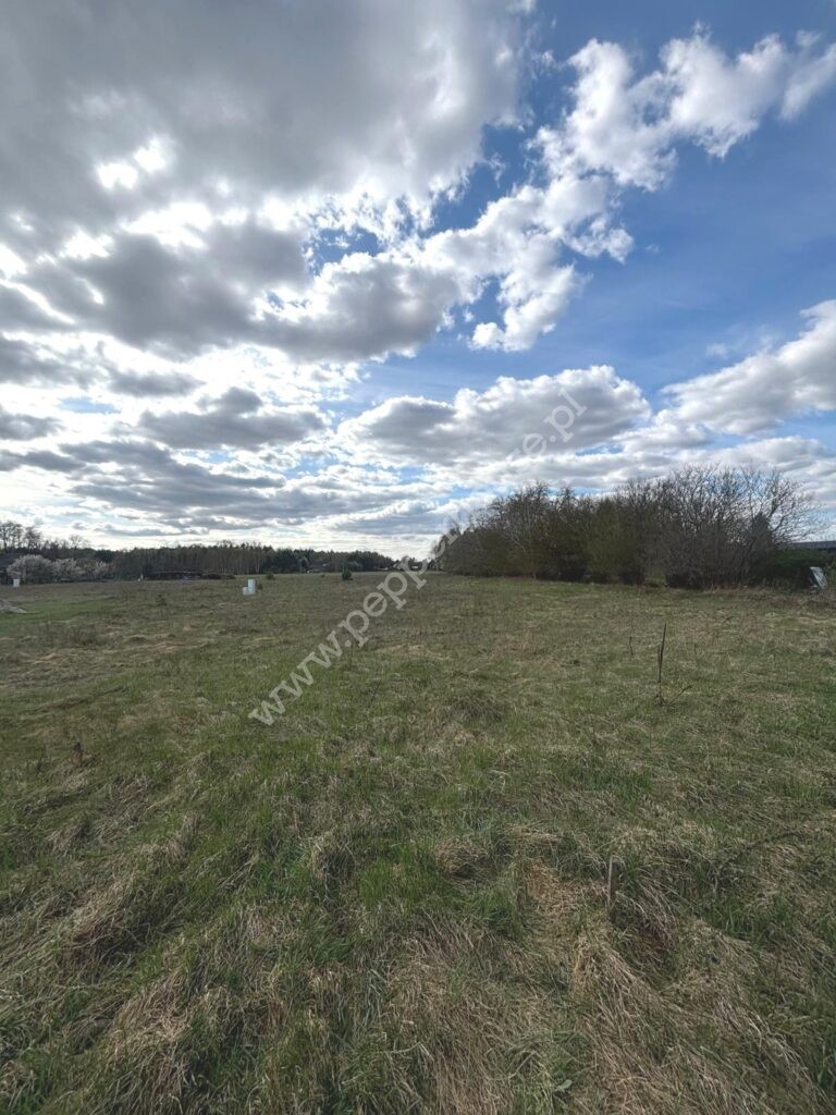 , kujawsko-pomorskie, Kornelin, Szczupakowa - listing photo no. 3