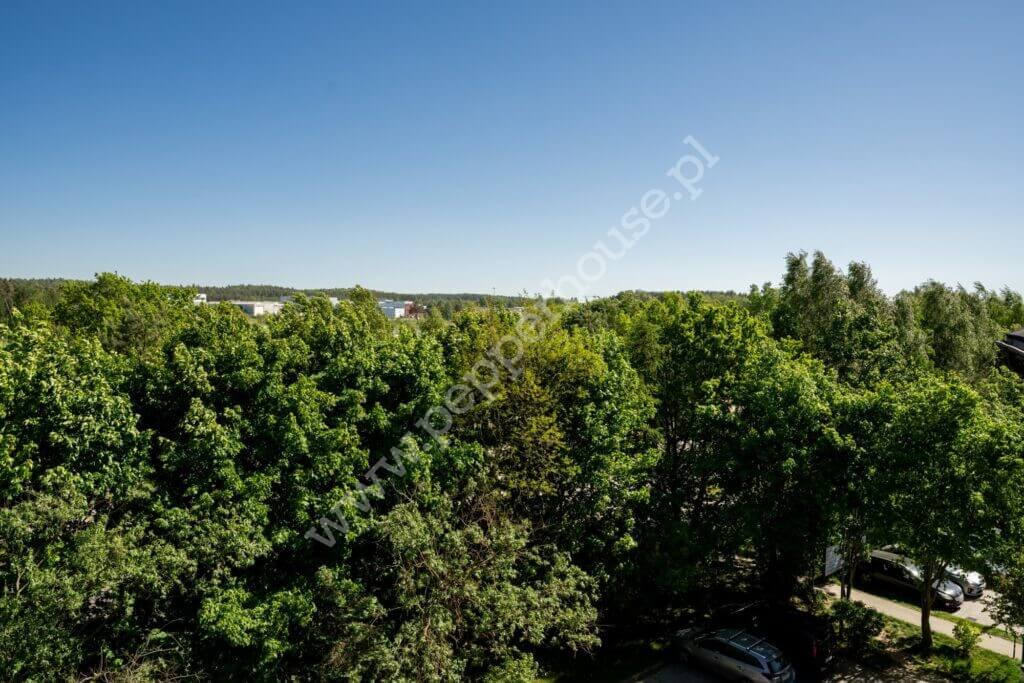 , Gdynia, Dąbrowa, Rdestowa - listing photo no. 13
