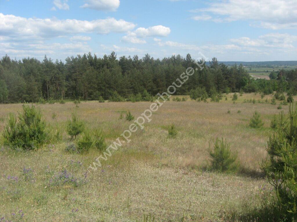 Działka na sprzedaż, kujawsko-pomorskie, Zdrojewo - zdjęcie ofertowe nr 1