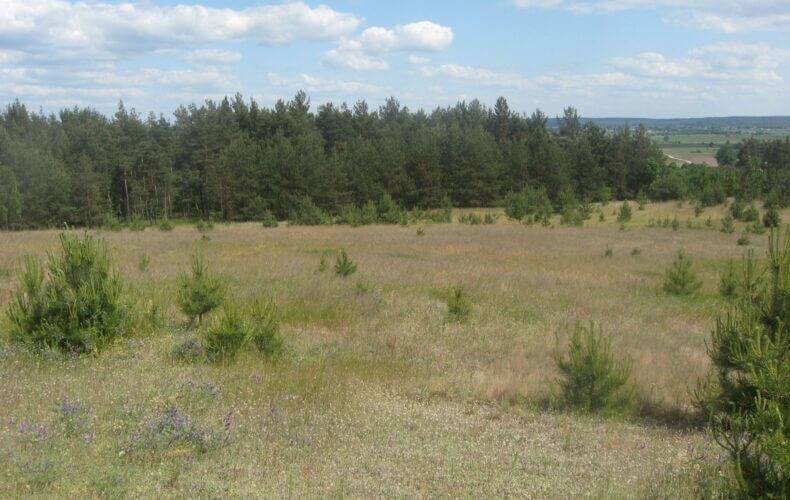 Działka na sprzedaż, kujawsko-pomorskie, Zdrojewo
