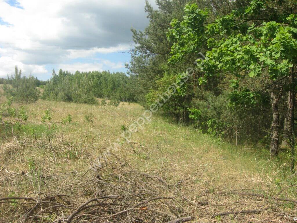 Działka na sprzedaż, kujawsko-pomorskie, Zdrojewo - zdjęcie ofertowe nr 4