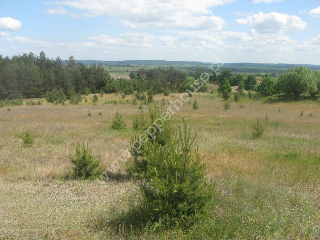 Działka na sprzedaż, kujawsko-pomorskie, Zdrojewo - zdjęcie ofertowe nr 3