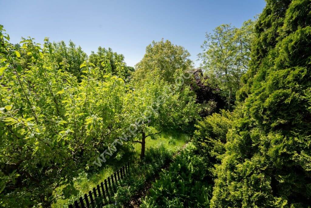 , pomorskie, Gdańsk, Siedlce - listing photo no. 4