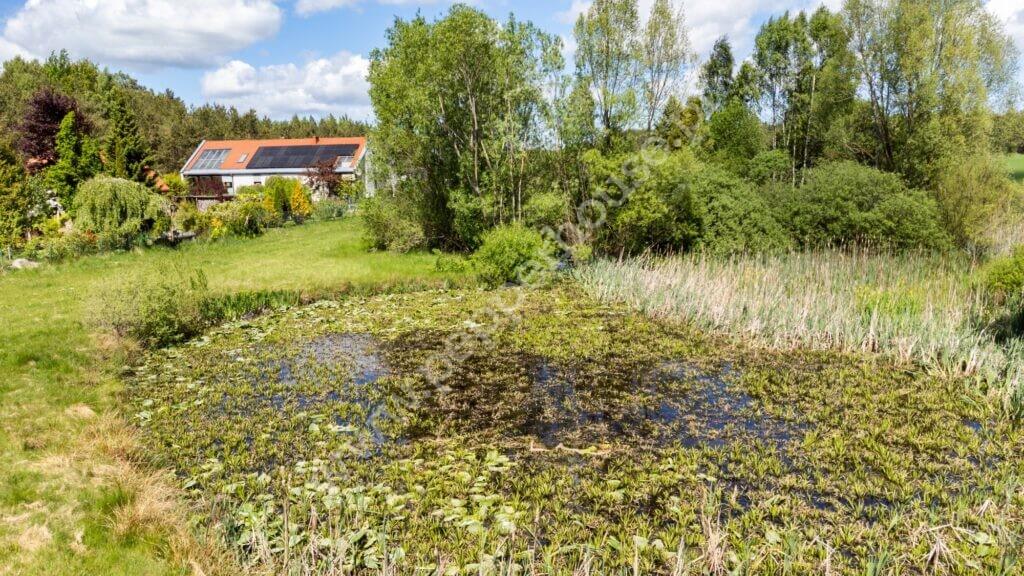 , pomorskie, Bieszkowice, Klonowa - listing photo no. 6