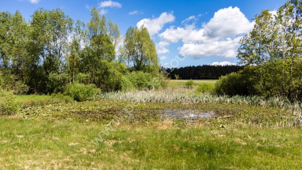 , pomorskie, Bieszkowice, Klonowa - listing photo no. 13