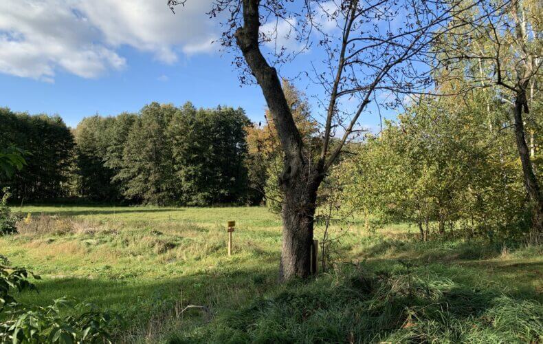 Działka na sprzedaż, kujawsko-pomorskie, Lipienica