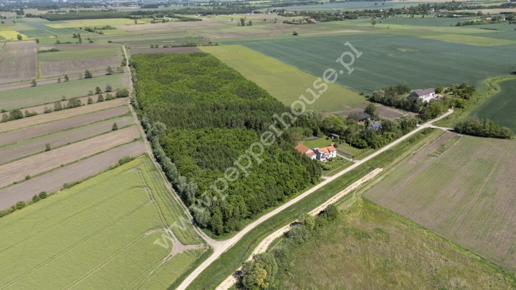 Dom na sprzedaż, warmińsko-mazurskie, Marwica - zdjęcie ofertowe nr 2