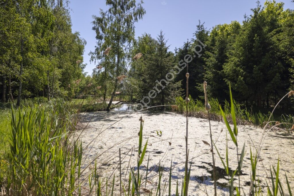 Dom na sprzedaż, warmińsko-mazurskie, Marwica - zdjęcie ofertowe nr 9