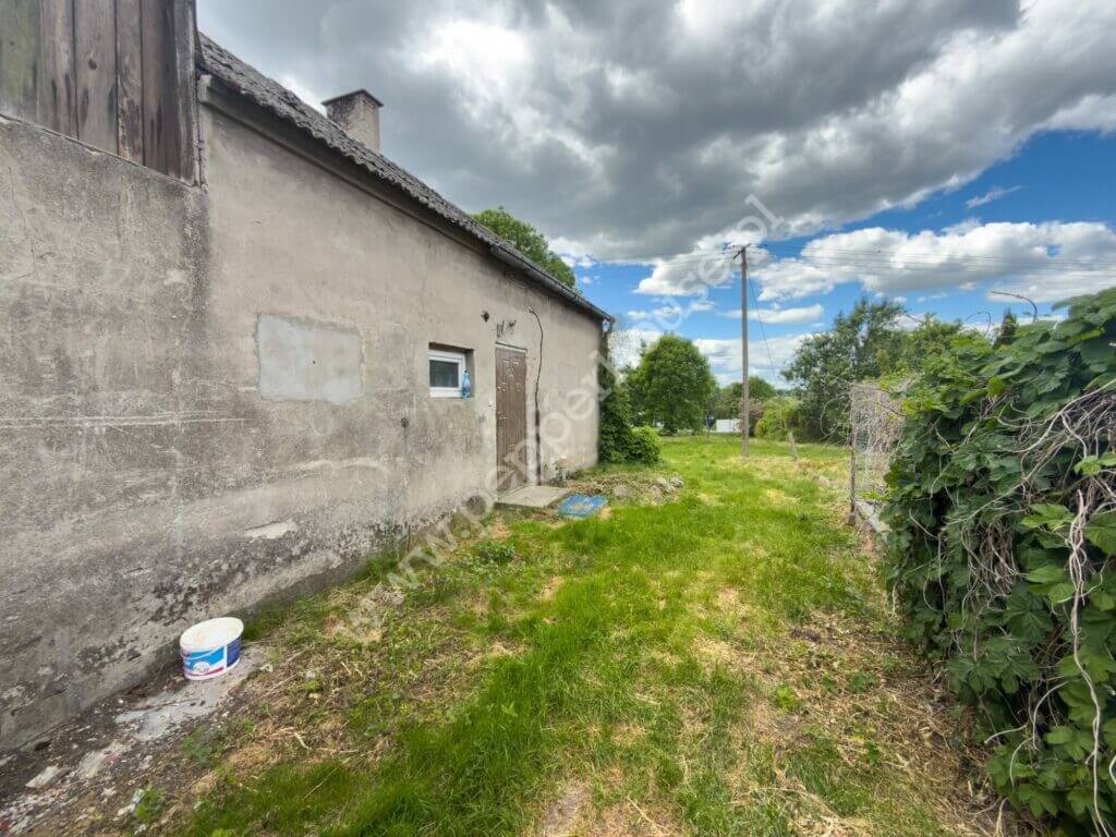 , kujawsko-pomorskie, Buszkowo - listing photo no. 3