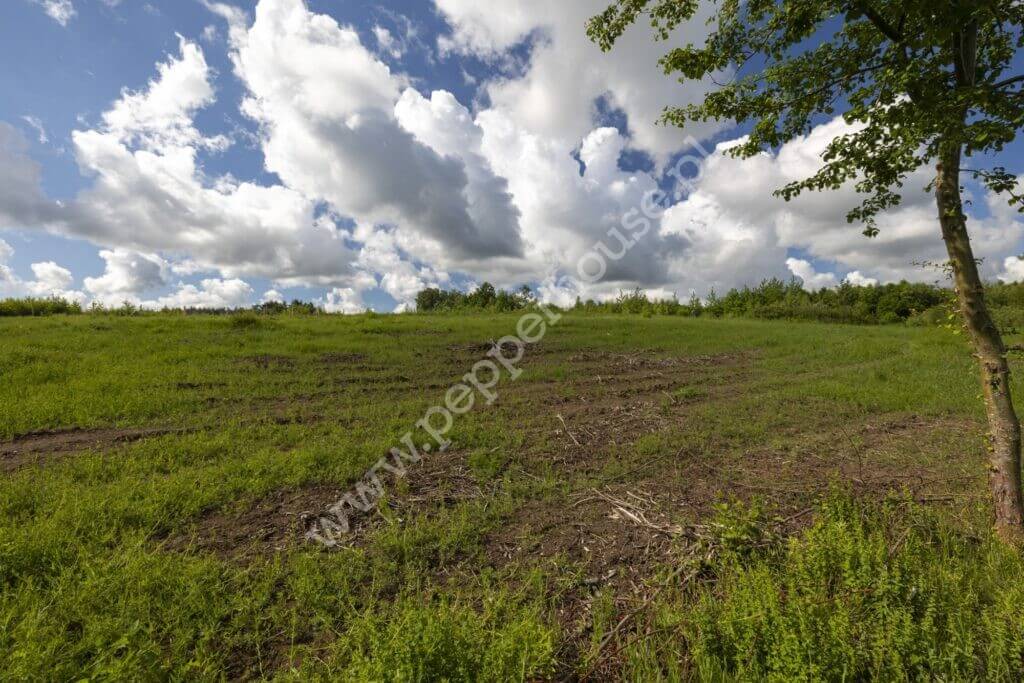 , pomorskie, Przyjaźń, Pagórkowa - listing photo no. 7