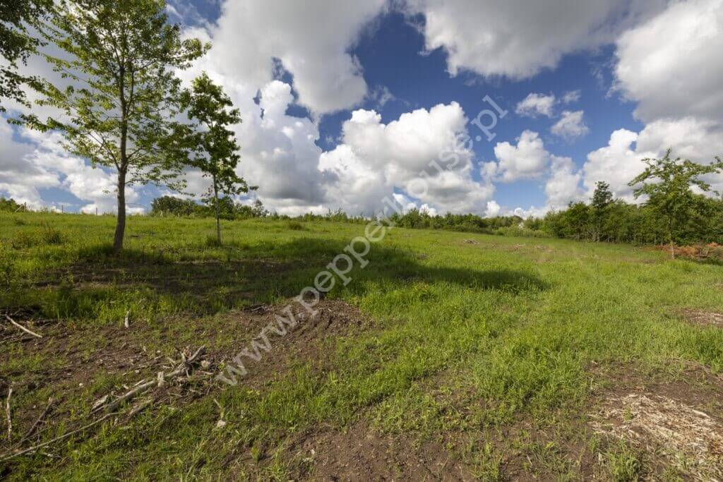 , pomorskie, Przyjaźń, Pagórkowa - listing photo no. 8