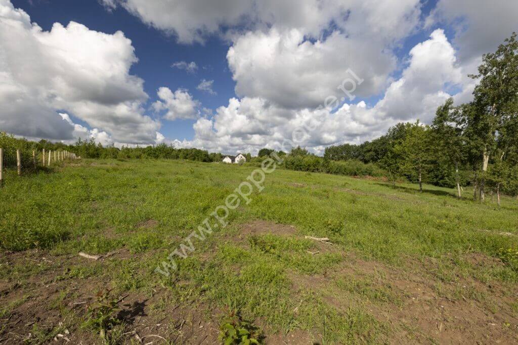 , pomorskie, Przyjaźń, Pagórkowa - listing photo no. 9