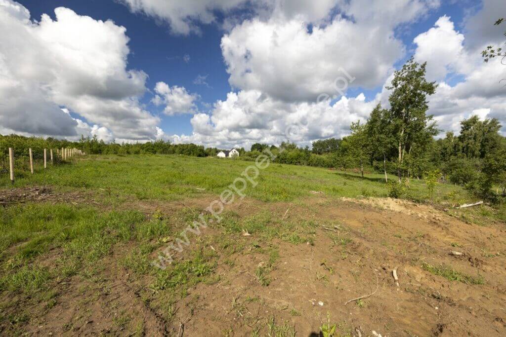 , pomorskie, Przyjaźń, Pagórkowa - listing photo no. 10