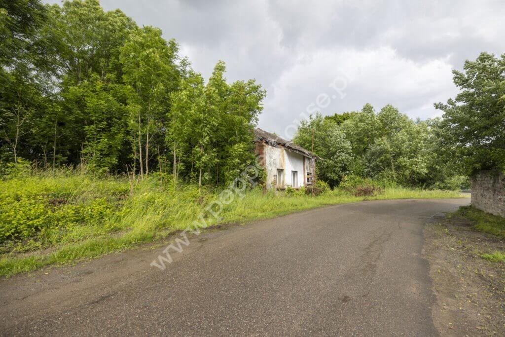 , warmińsko-mazurskie, Stegny - listing photo no. 2