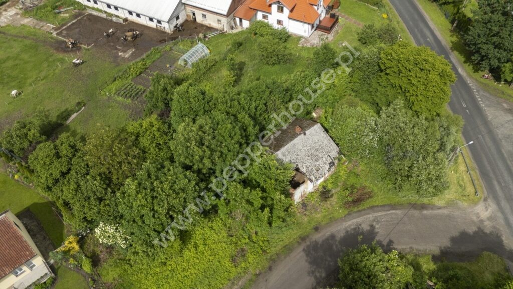 Działka na sprzedaż, warmińsko-mazurskie, Stegny - zdjęcie ofertowe nr 10