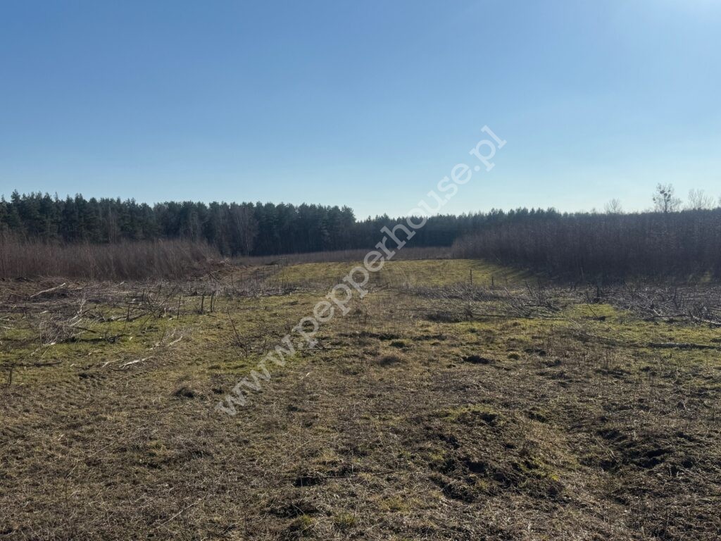 Działka na sprzedaż, pomorskie, Chwaszczyno, Torfowa - zdjęcie ofertowe nr 3