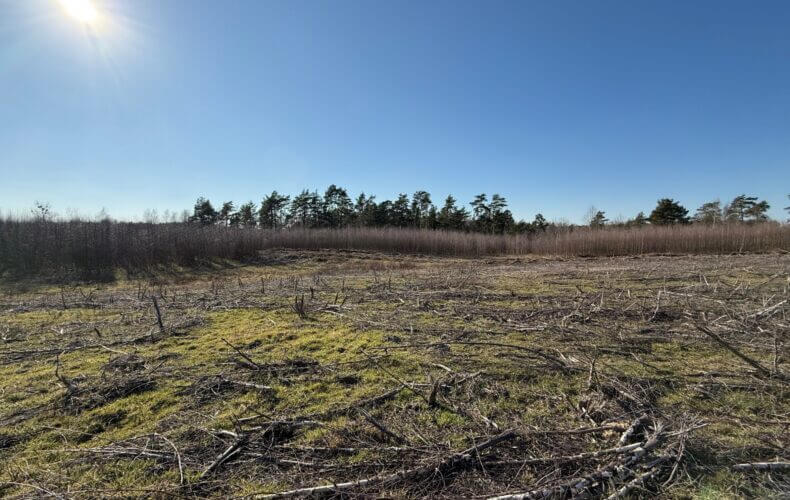 Działka na sprzedaż, pomorskie, Chwaszczyno, Torfowa