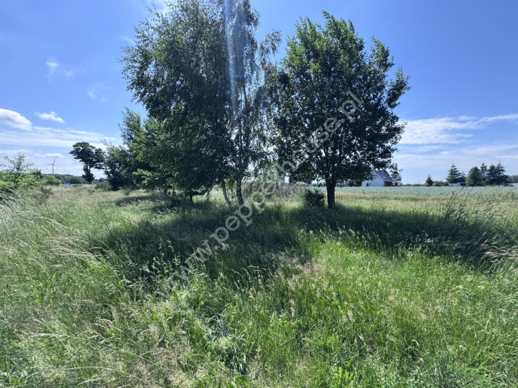 Działka na sprzedaż, pomorskie, Wrzeście - zdjęcie ofertowe nr 3